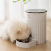 Smart Automatic Cat Feeder | Programmable Pet Food Dispenser