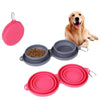 Foldable Double Pet Feeding Bowl – Portable & Convenient