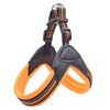 No-Pull Dog Harness and Leash Combo