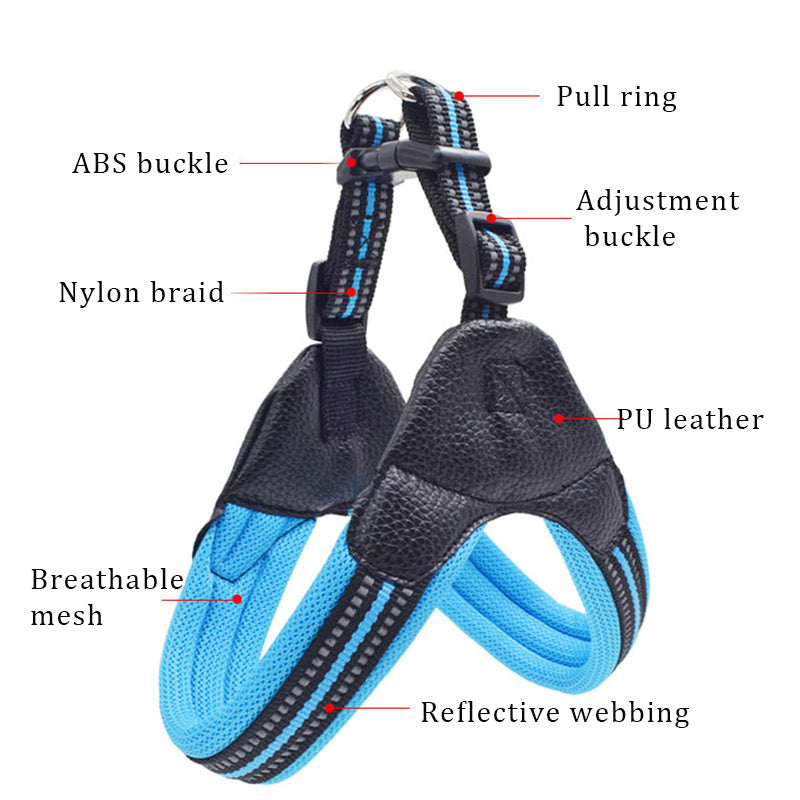 No-Pull Dog Harness and Leash Combo