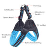 No-Pull Dog Harness and Leash Combo