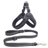No-Pull Dog Harness and Leash Combo