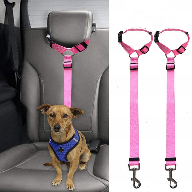 Protect Your Pet: Car Safety Leash for Secure Travel