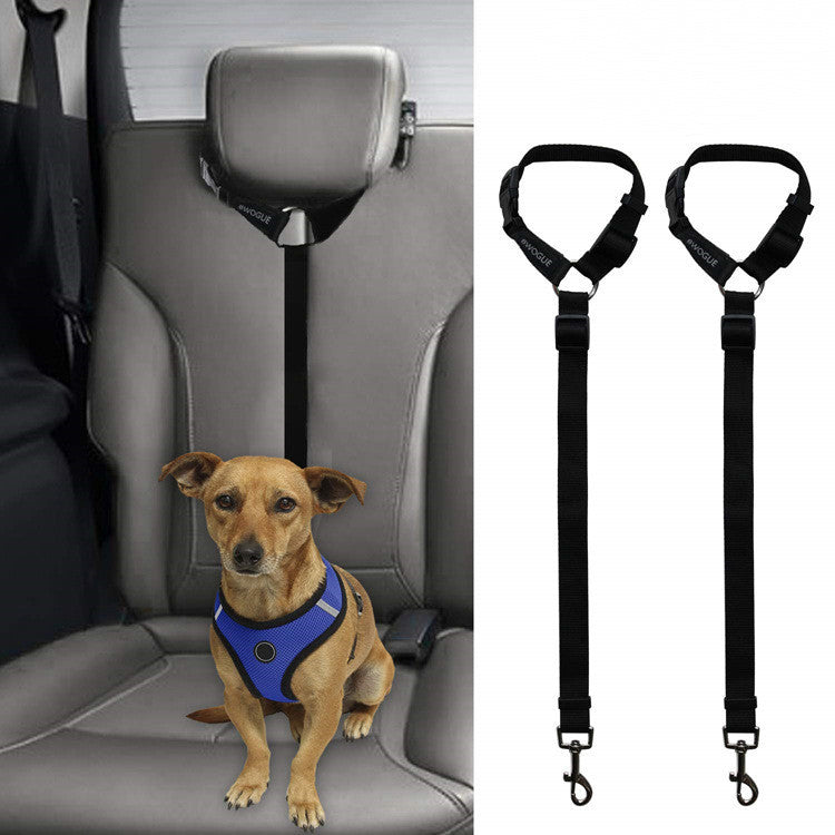 Protect Your Pet: Car Safety Leash for Secure Travel