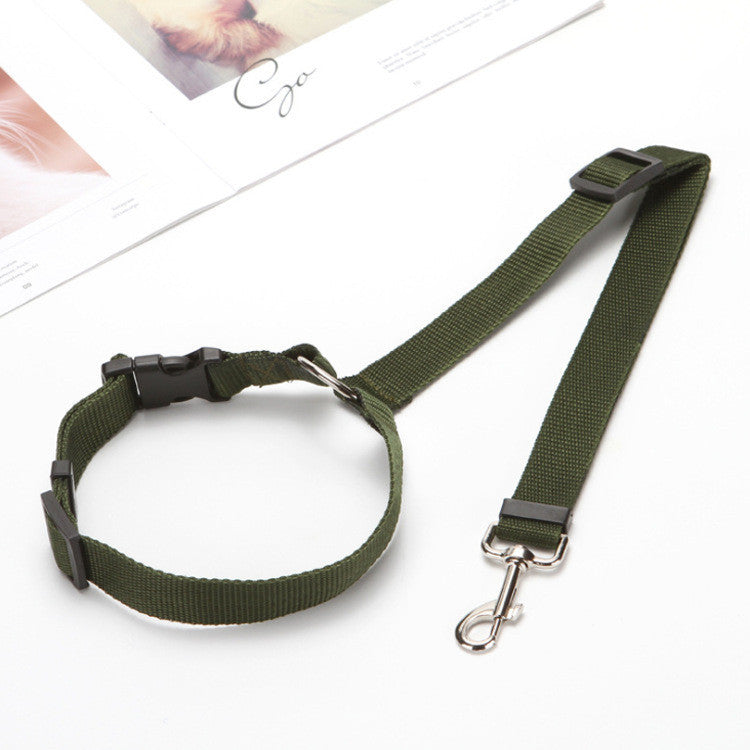 Protect Your Pet: Car Safety Leash for Secure Travel