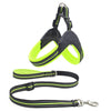 No-Pull Dog Harness and Leash Combo
