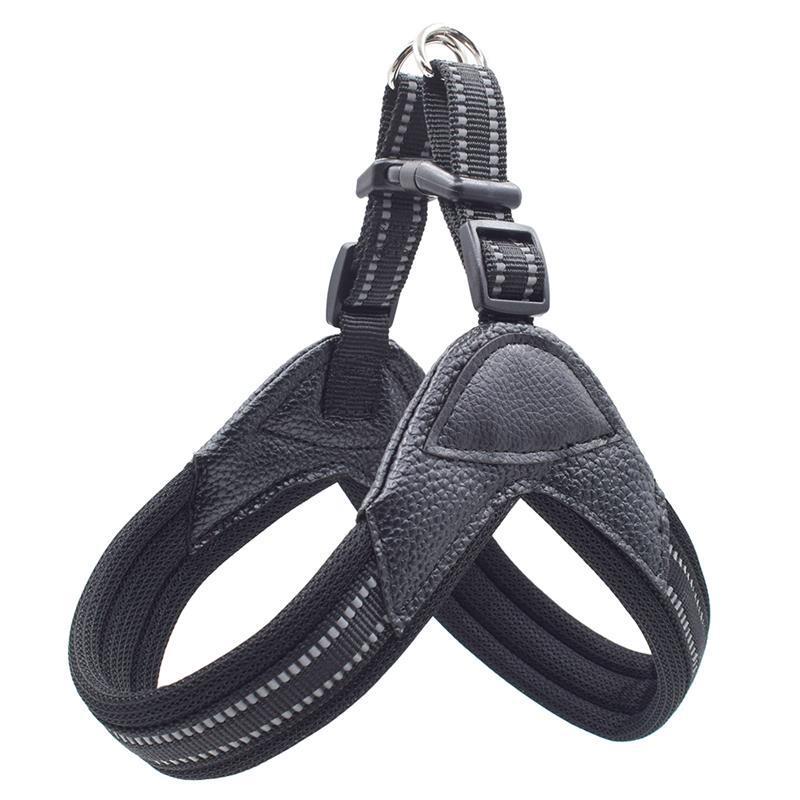 No-Pull Dog Harness and Leash Combo