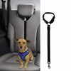 Protect Your Pet: Car Safety Leash for Secure Travel