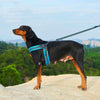 No-Pull Dog Harness and Leash Combo