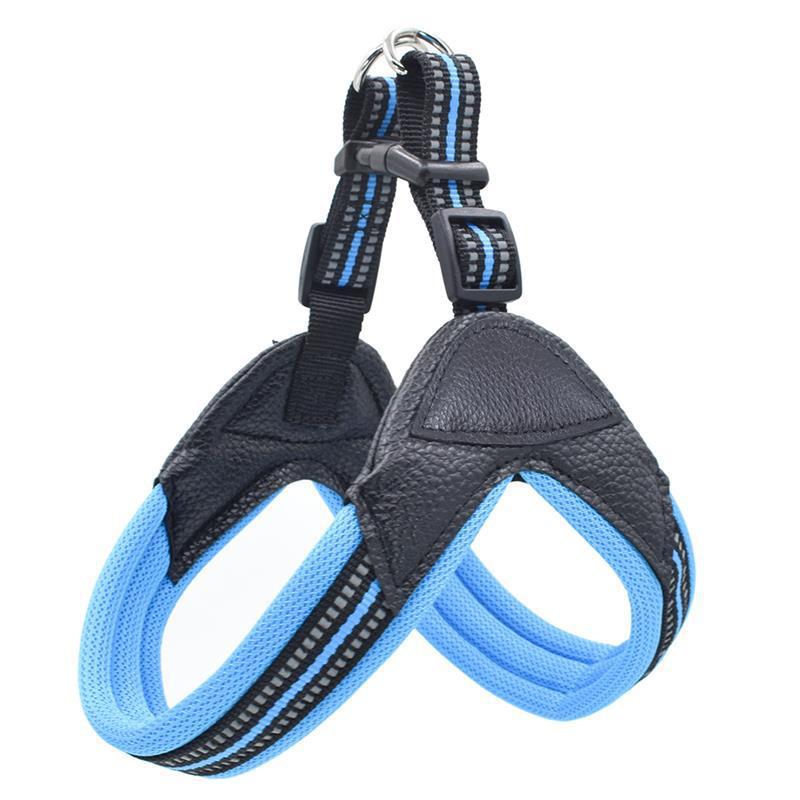 No-Pull Dog Harness and Leash Combo