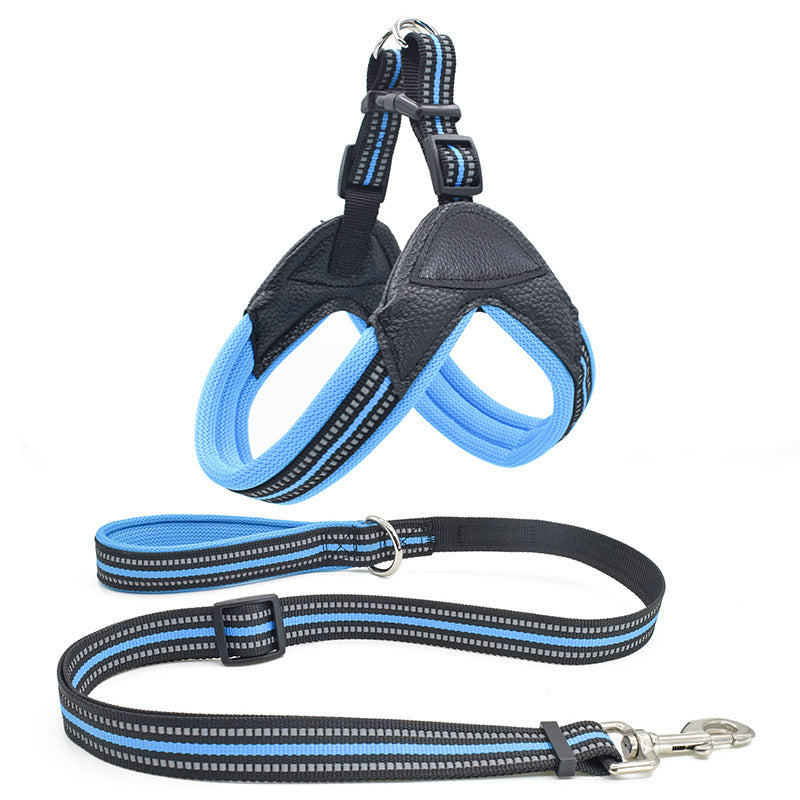No-Pull Dog Harness and Leash Combo