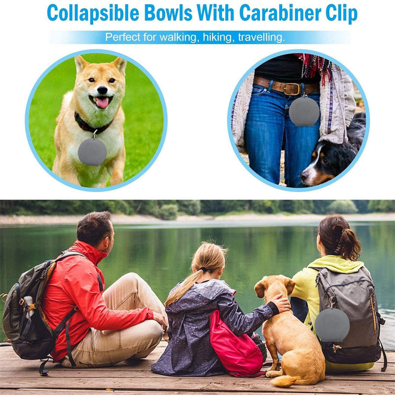 Foldable Double Pet Feeding Bowl – Portable & Convenient