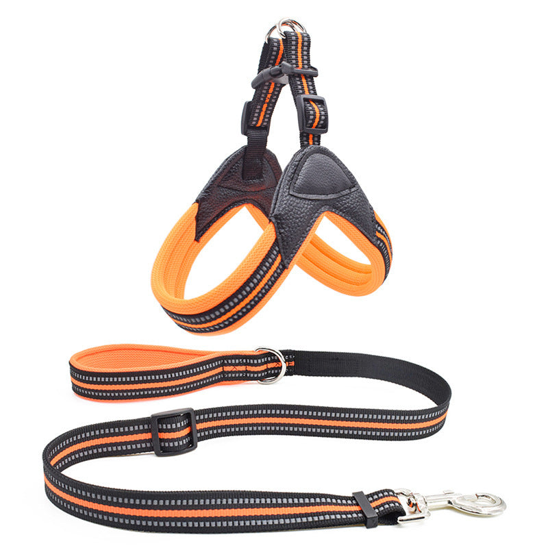 No-Pull Dog Harness and Leash Combo