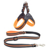 No-Pull Dog Harness and Leash Combo
