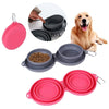 Foldable Double Pet Feeding Bowl – Portable & Convenient