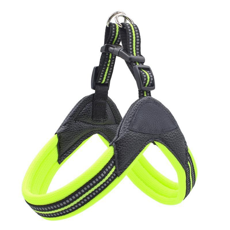 No-Pull Dog Harness and Leash Combo