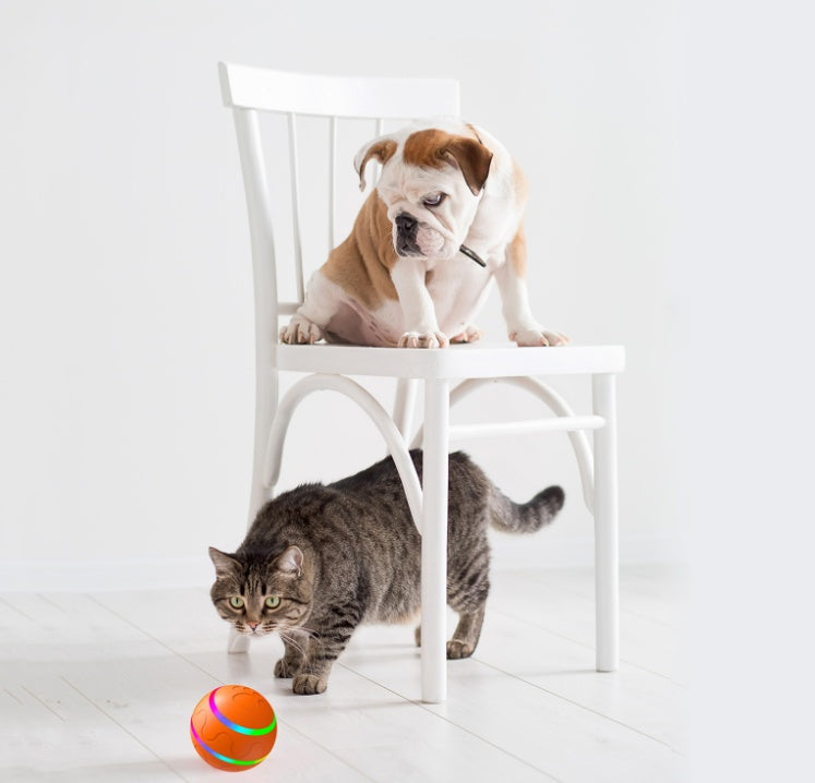 Smart Interactive Cat Toy Ball | USB Rechargeable Self-Rotating Ball – Pouch Treats