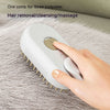 Pet Steam Brush – Electric 3-in-1 Grooming Tool for Hair Removal and Massage