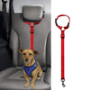 Protect Your Pet: Car Safety Leash for Secure Travel