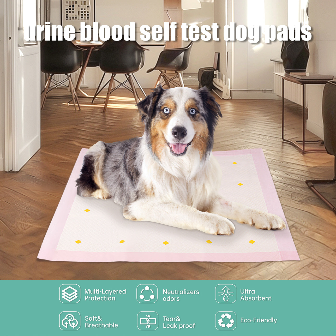 Leak-Proof Dog Detection Urine Pads – Fast Absorbent Puppy Training Pads (10-Pack Box)