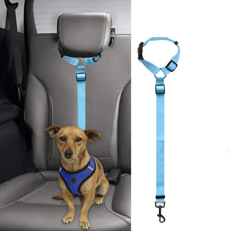 Protect Your Pet: Car Safety Leash for Secure Travel